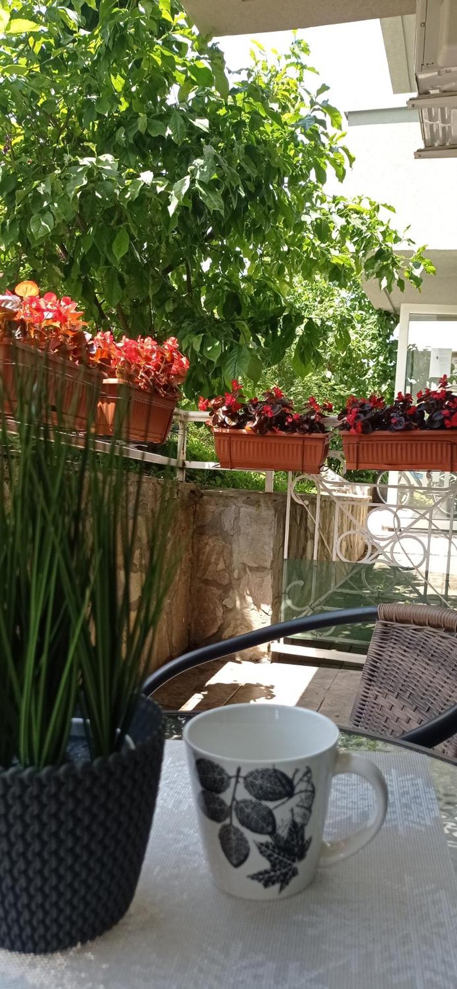 Apartman Harmonija Врнячка-Баня Экстерьер фото